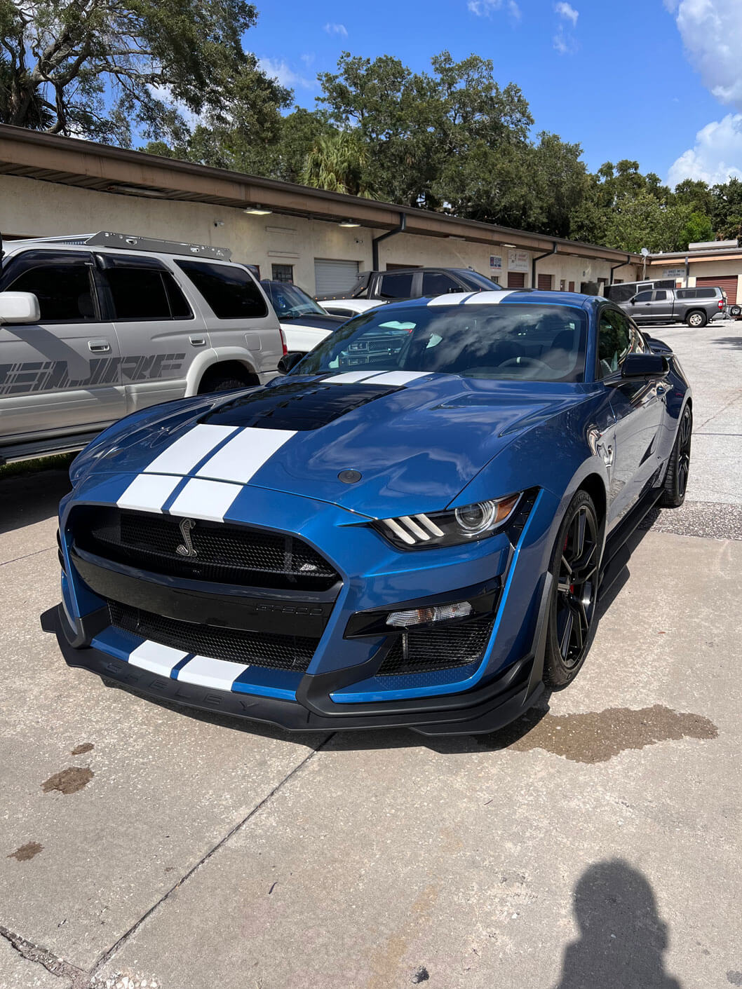 blue mustang with white stripe in the middle, freshly detailed